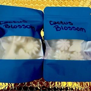 Bath and Body Works Cactus Blossom candle wax melts